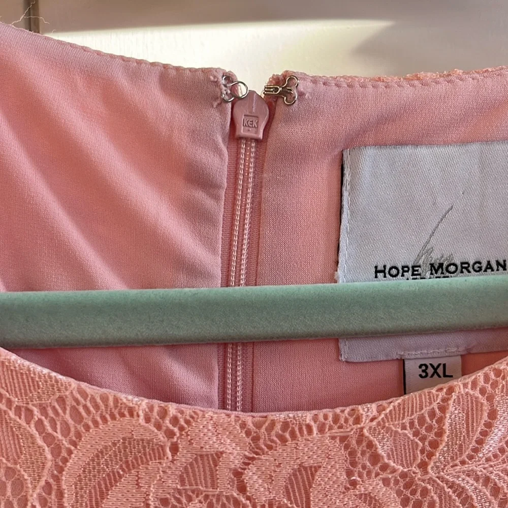 Blush ruffled lace dress - Picture 4 of 5